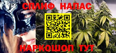 шишки Моздок