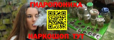 шишки Моздок