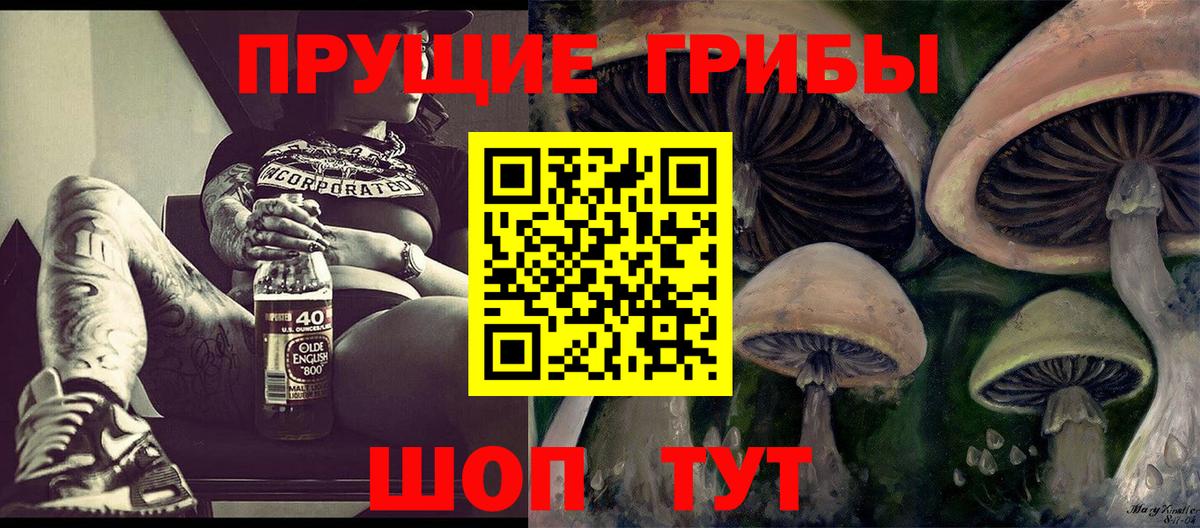 Псилоцибиновые грибы Psilocybine cubensis Советская Гавань