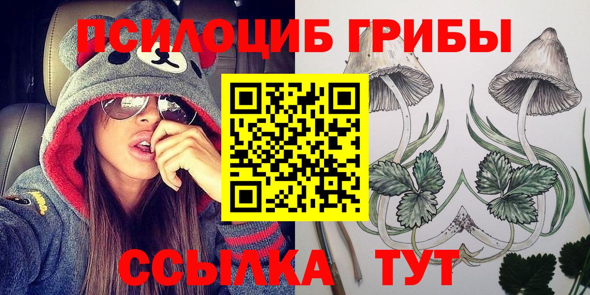 наркота  Псилоцибиновые грибы Psilocybe  Вход с VPN  Советская Гавань 